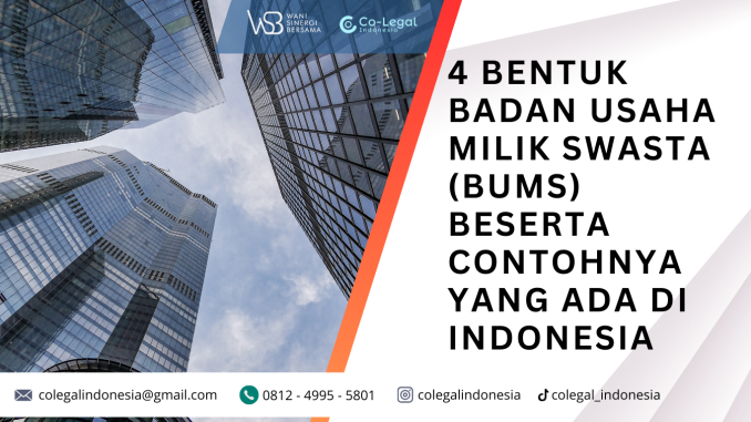 Badan Usaha Milik Swasta