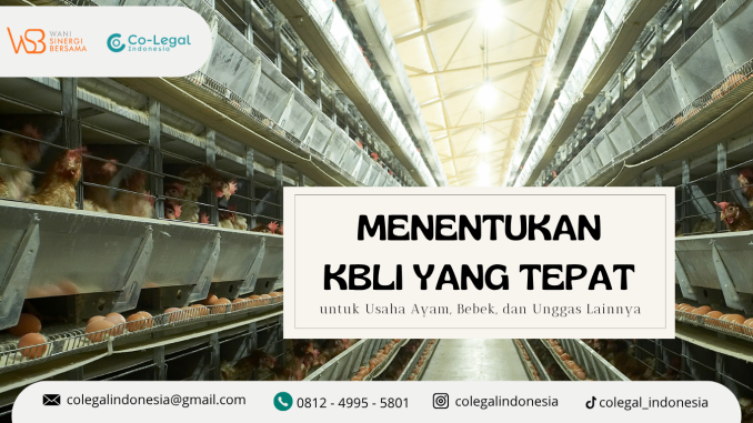 menentukan kbli yang tepat
